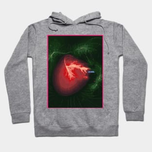 The Laniakea Supercluster Galaxy. Hoodie